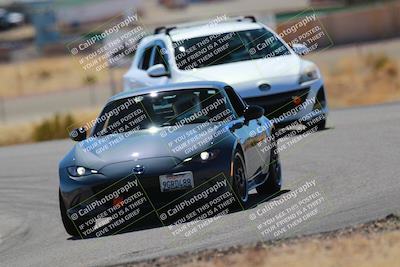 media/Mar-08-2025-Extreme Speed (Sat) [[4abb97269e]]/Blue/Turns 2  and  4 (Session 2)/